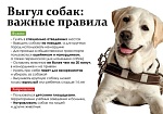 «Об ответственном обращении с животными»